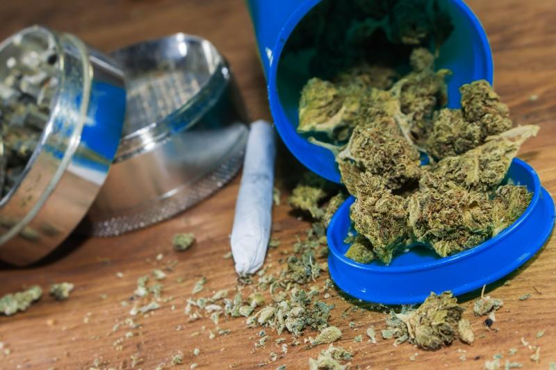 Cannabis Cannabis